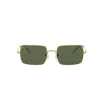 RayBan 1969 9196/31 54 Güneş Gözlüğü